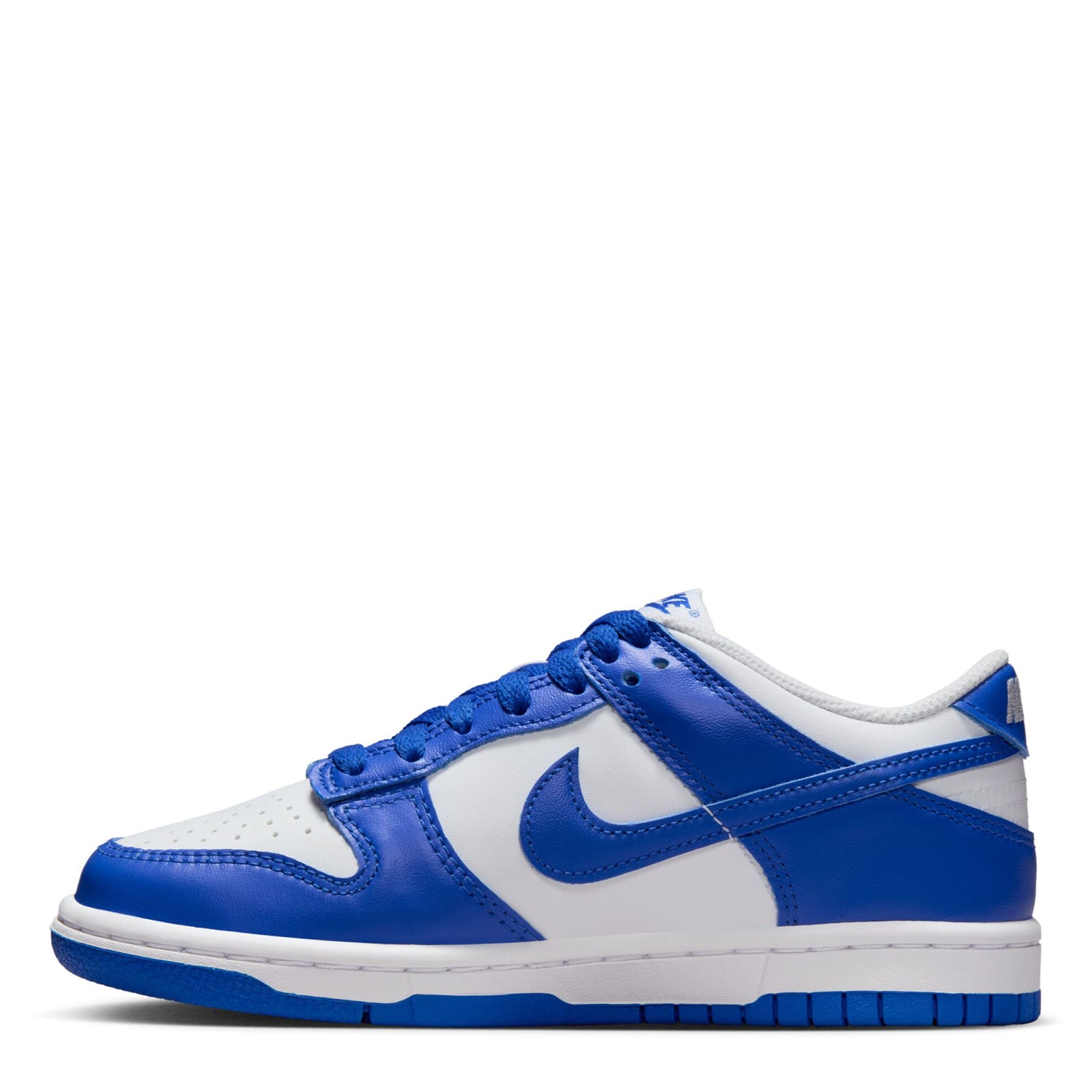 Dunk Low (Big Kid)