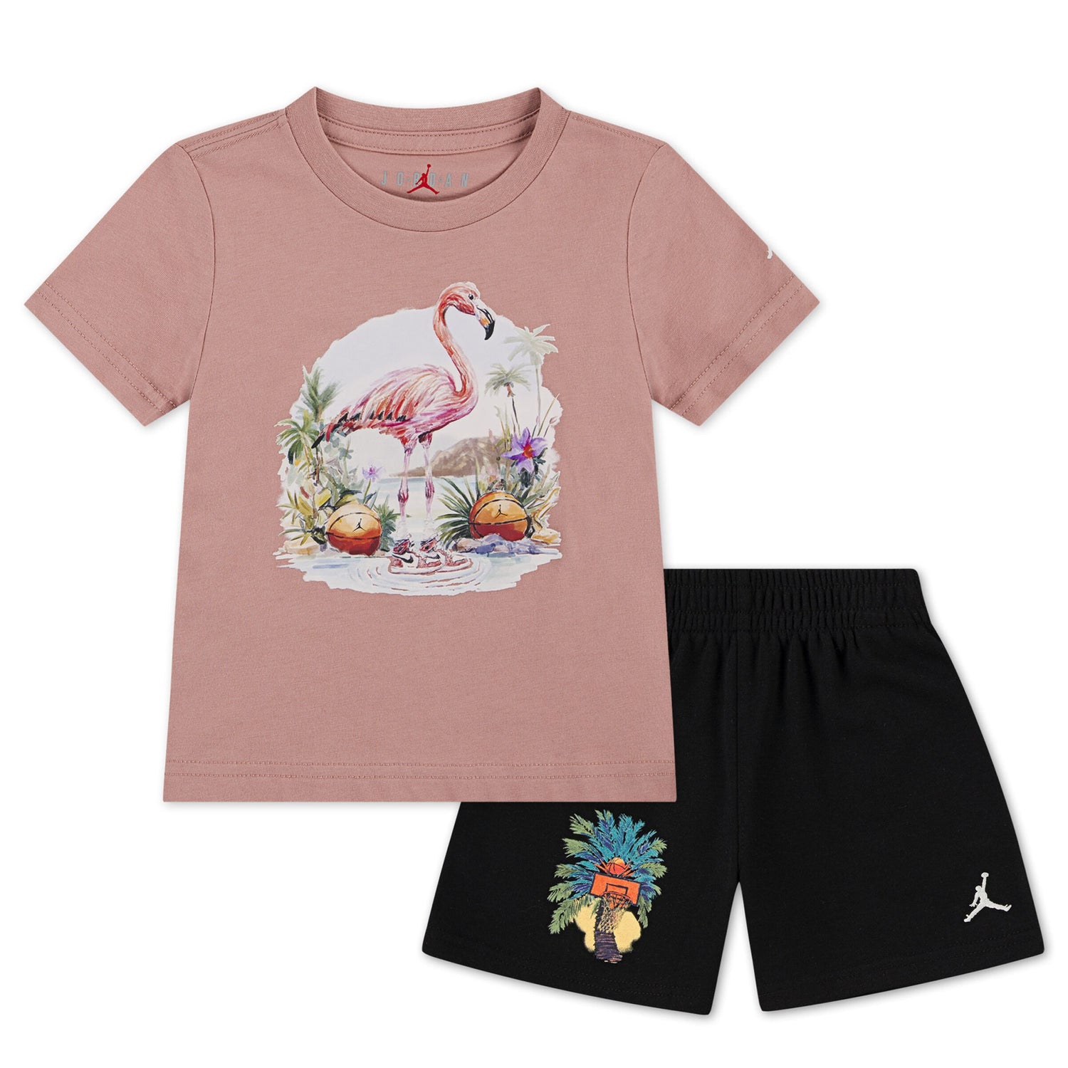 Graphic Tee & French Terry Shorts Set (Toddler)