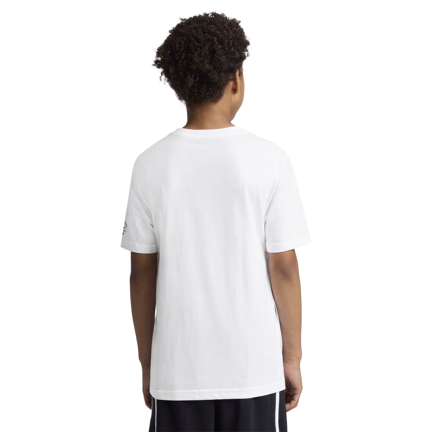 Spiders Classic Tee (Big Kid)