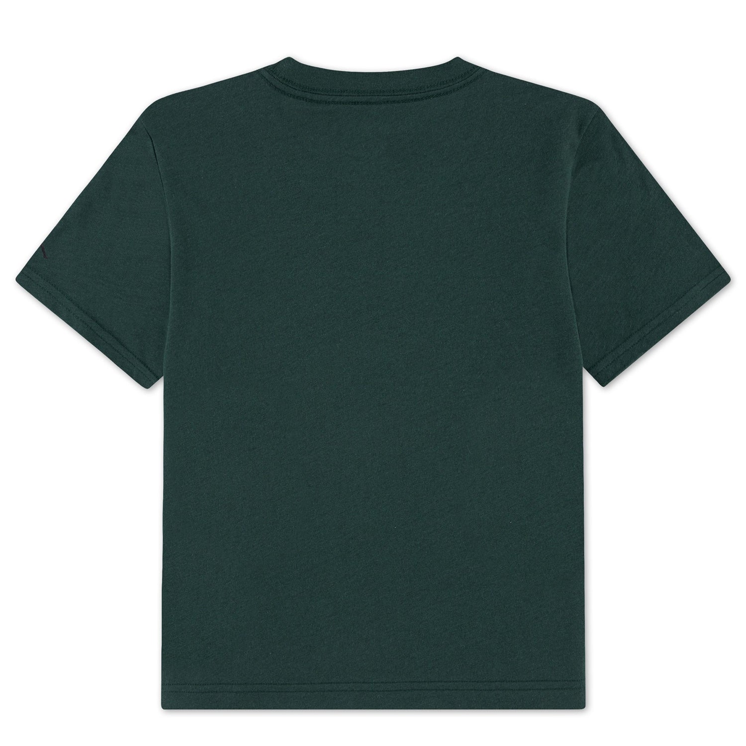 Winterland Short Sleeve Tee (Big Kid)