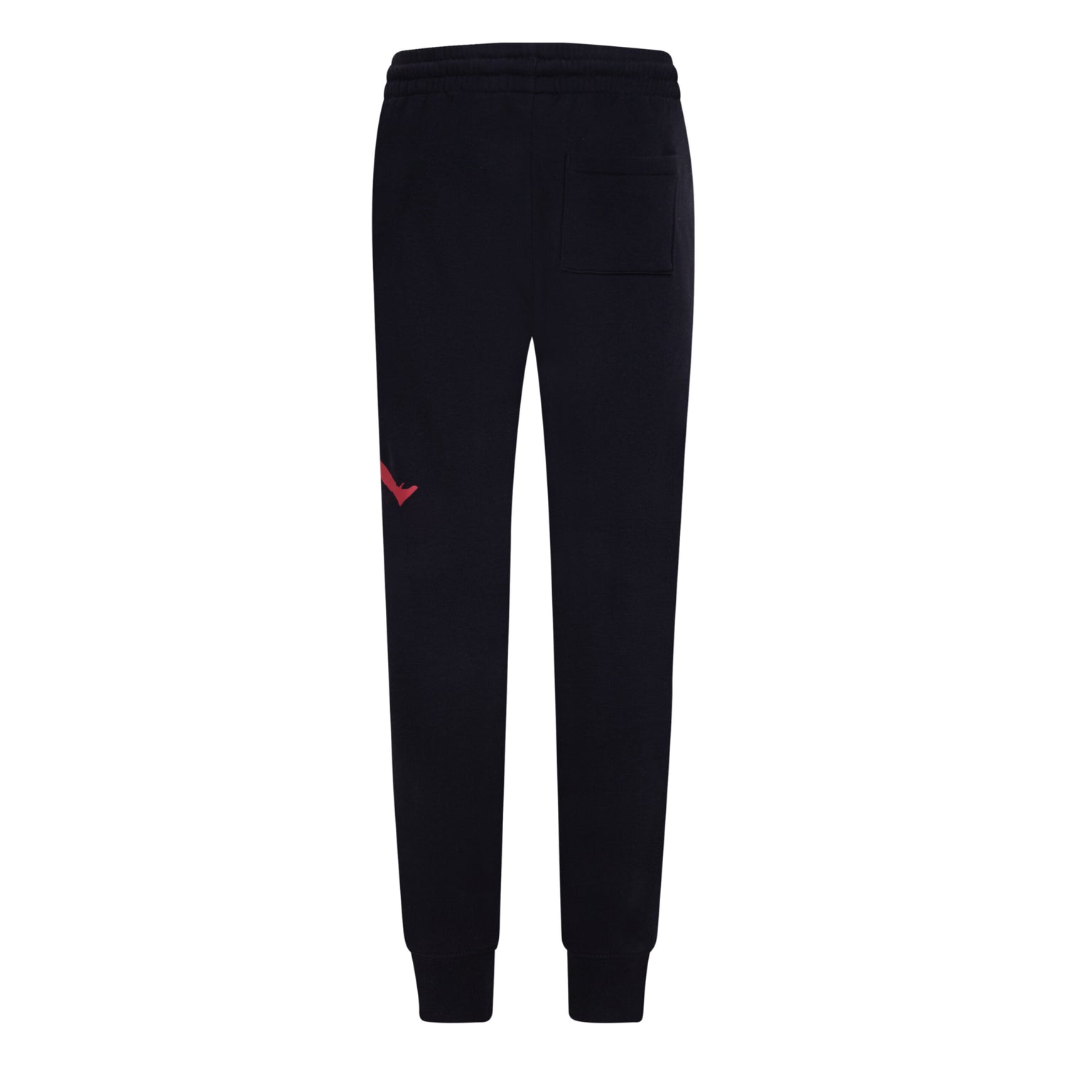Jumpman Baseline Pants (Big Kid)