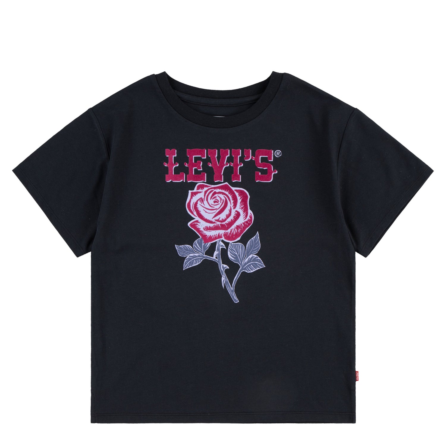 Western Roses Oversized Tee (Little Kid)