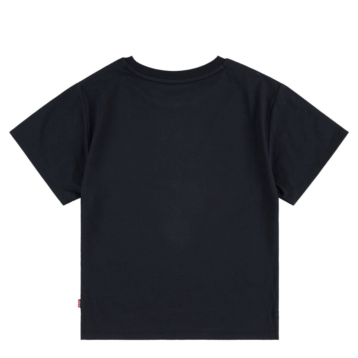 Western Roses Oversized Tee (Little Kid)