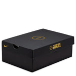 Lebron Xxiii (Big Kid)