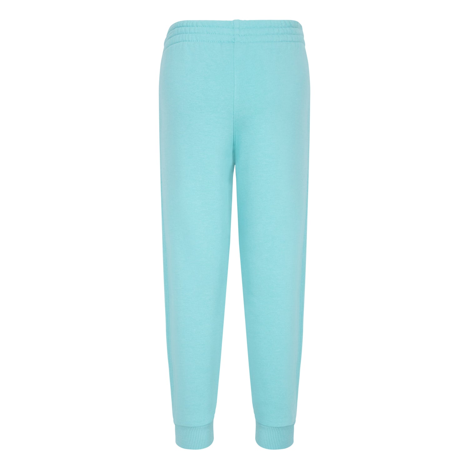 Sportswear Club Fleece Joggers (Little Kid)