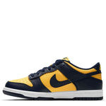 Dunk Low (Big Kid)
