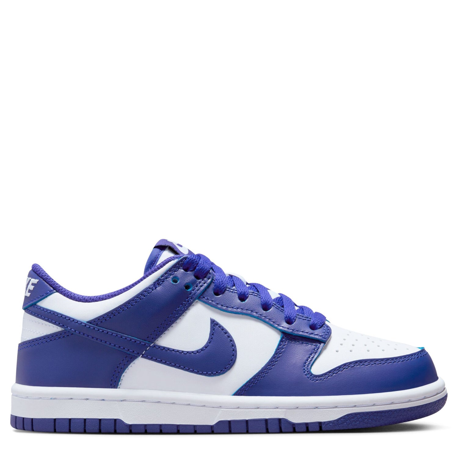Dunk Low (Big Kid)