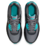 Air Max 90 (Big Kid)