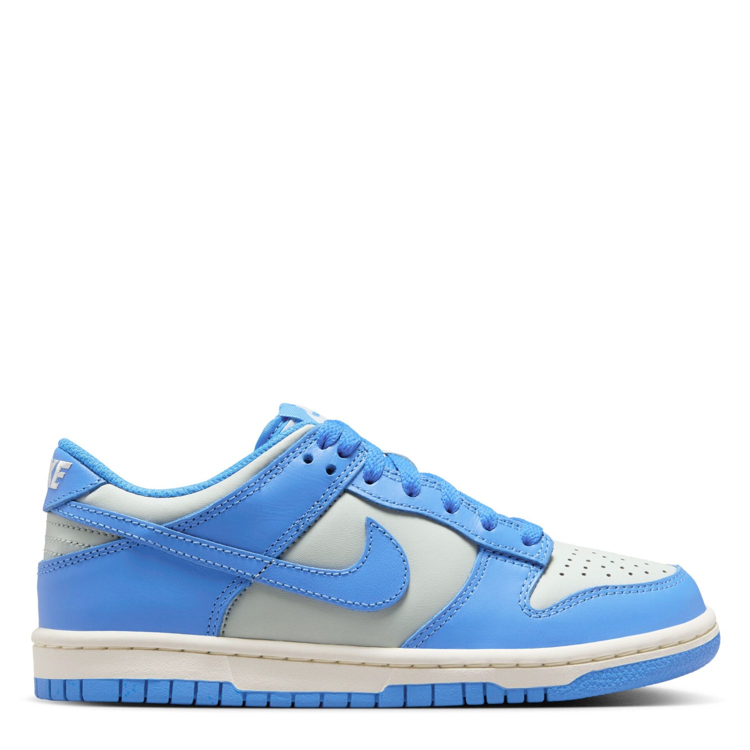 Dunk Low (Big Kid)