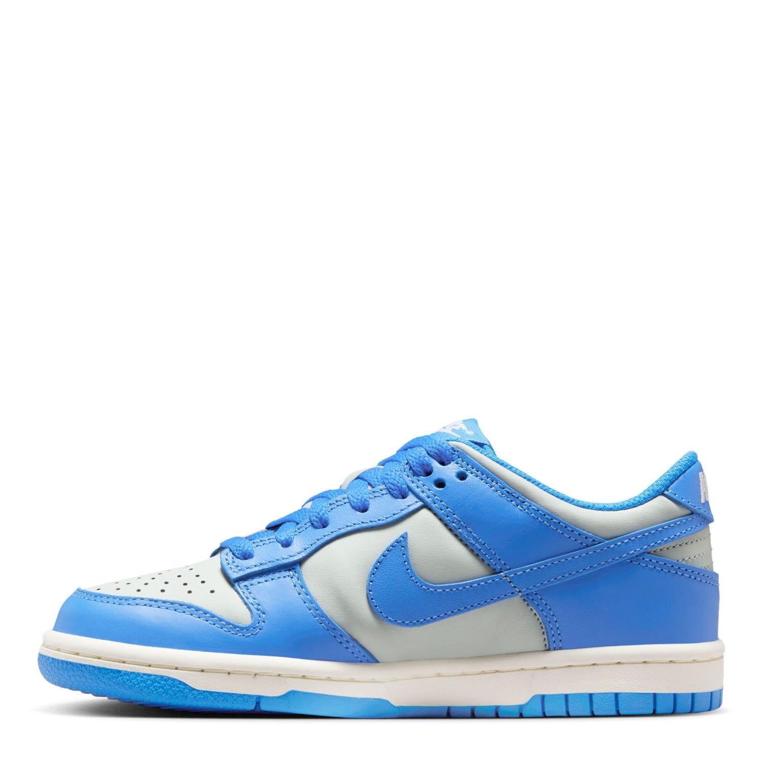 Dunk Low (Big Kid)