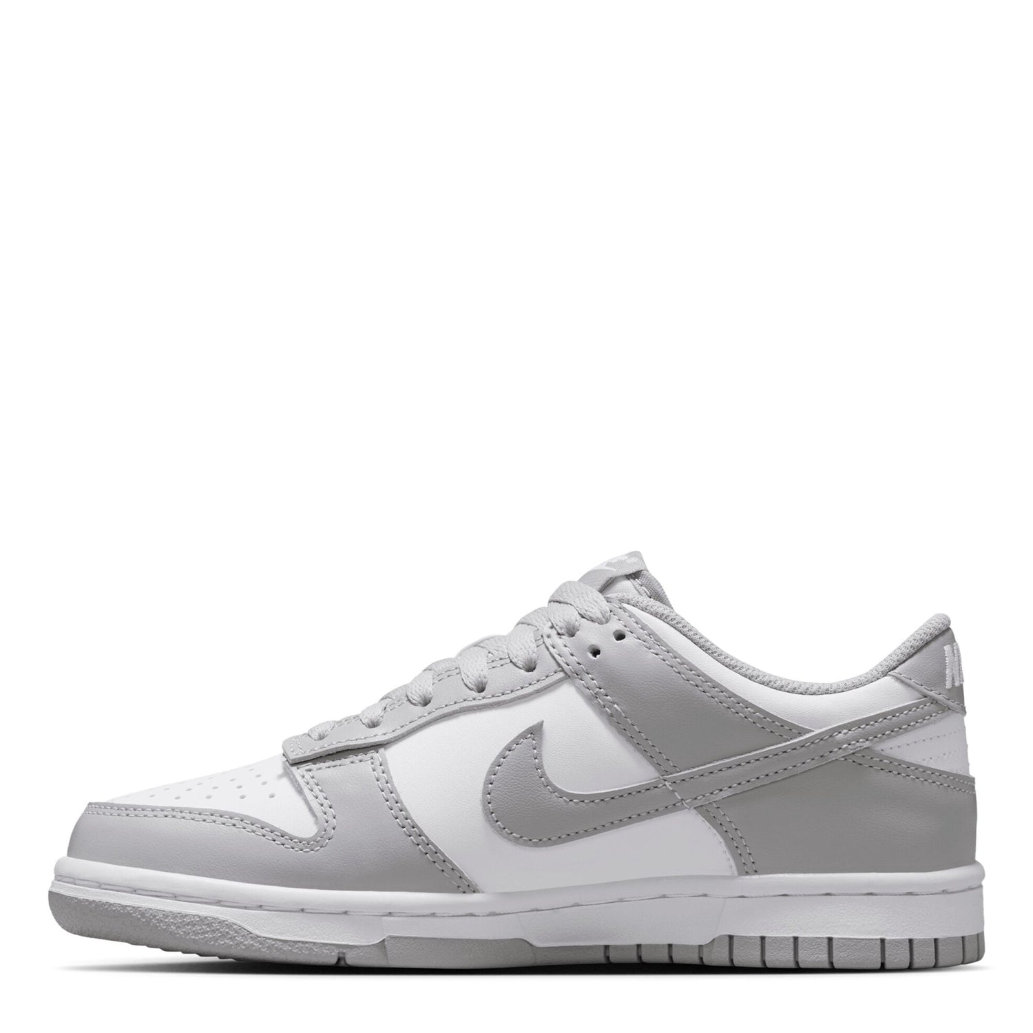 Dunk Low (Big Kid)