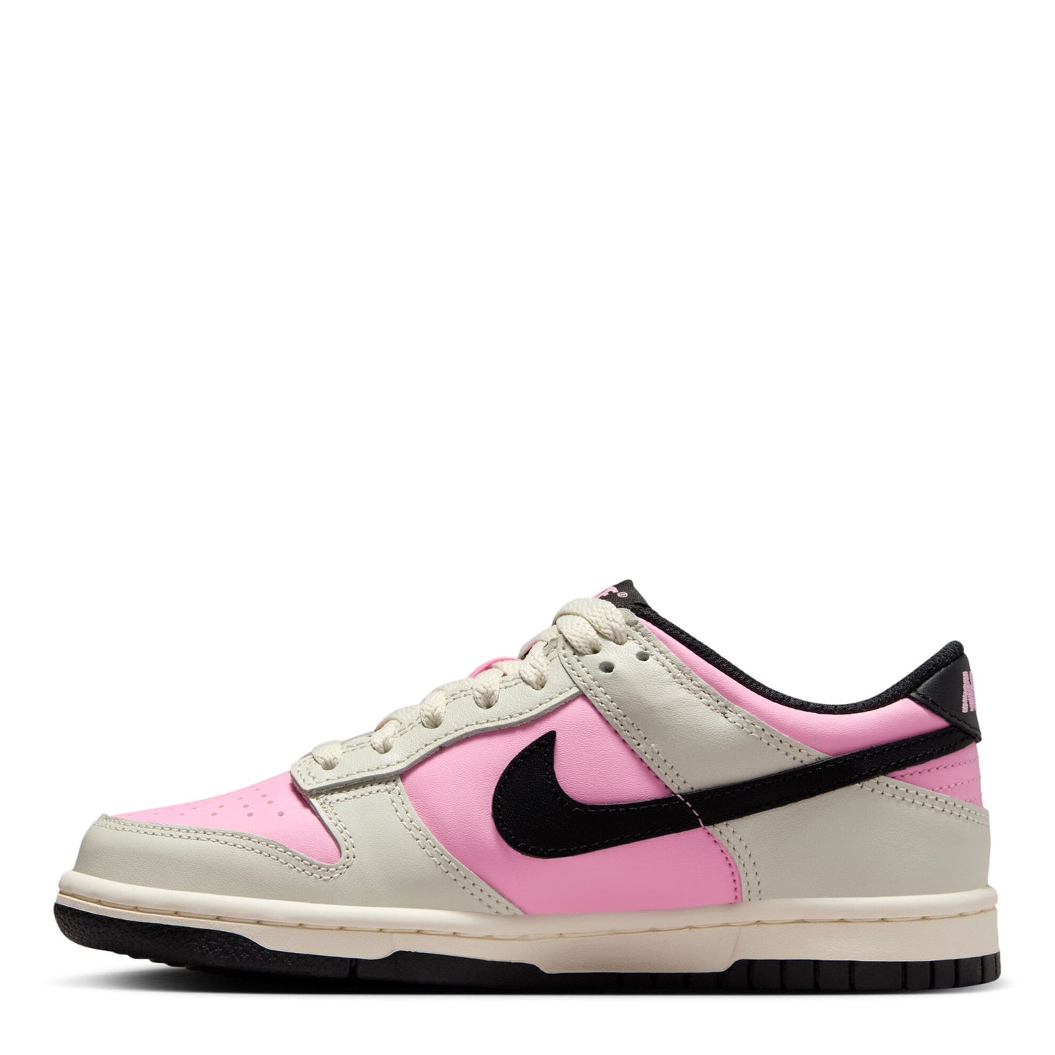Dunk Low (Big Kid)