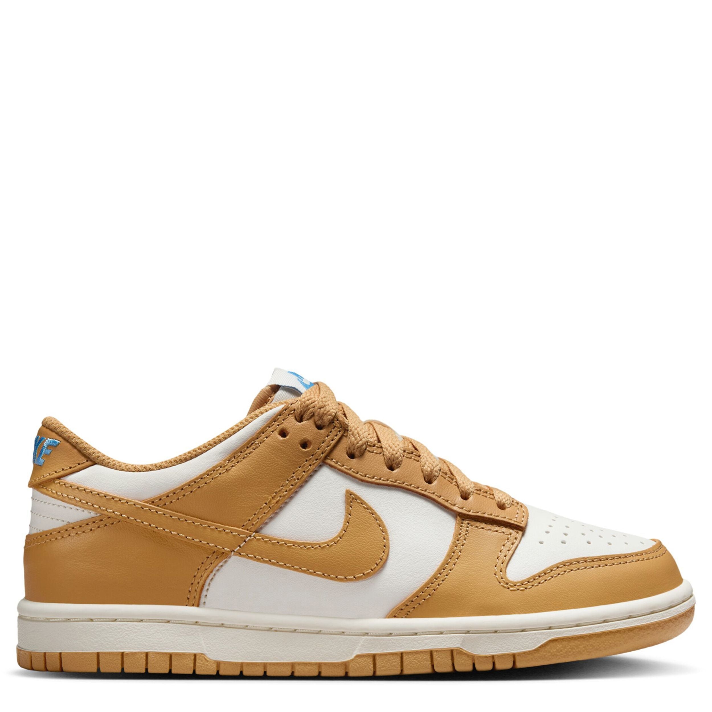 Big Kid Nike Dunk – Rookie Kids