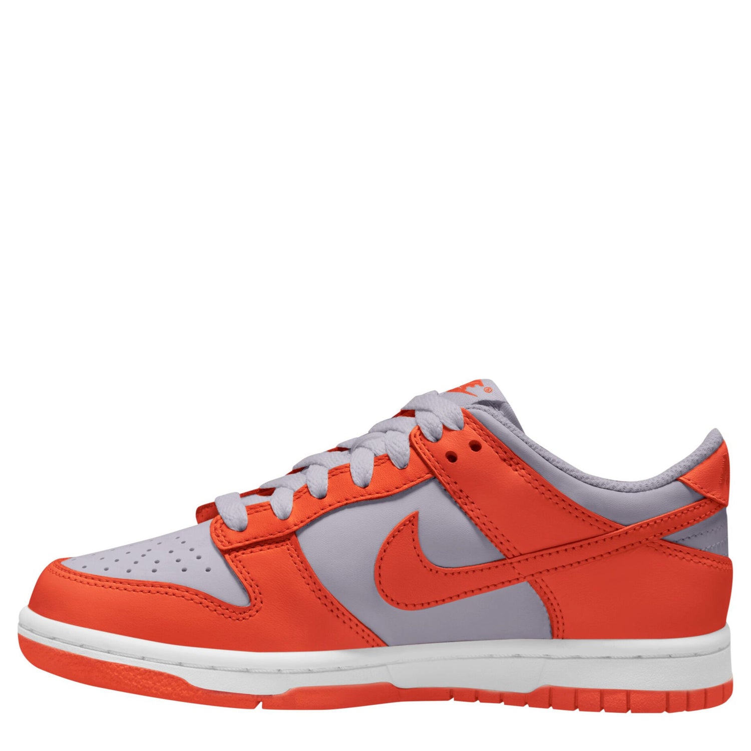 Dunk Low (Big Kid)