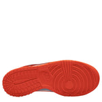 Dunk Low (Big Kid)