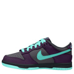 Dunk Low (Big Kid)