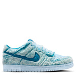 Dunk Low (Big Kid)