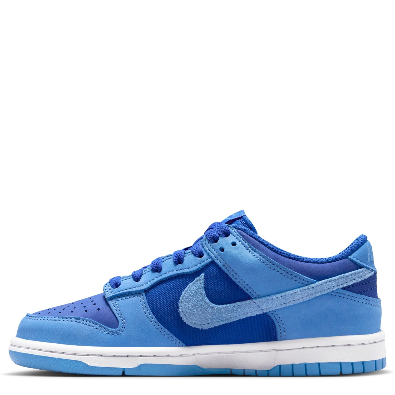 Dunk Low (Big Kid)