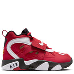 Air Diamond Turf 2 (Big Kid)