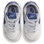 Dunk Low (Toddler)