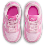 Dunk Low (Toddler)