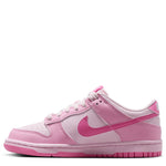 Dunk Low (Big Kid)