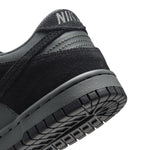 Dunk Low (Big Kid)