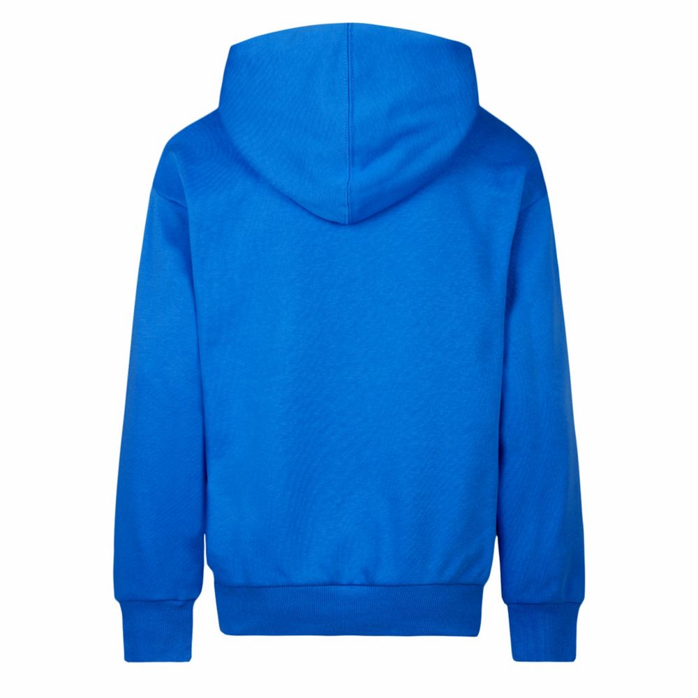 Sustainable Core Pull Over Hoodie (Big Kid)