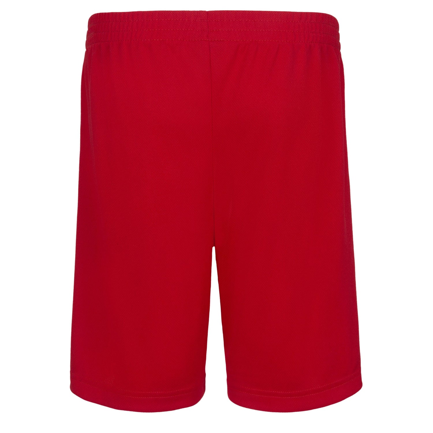 Badge Shorts (Big Kid)