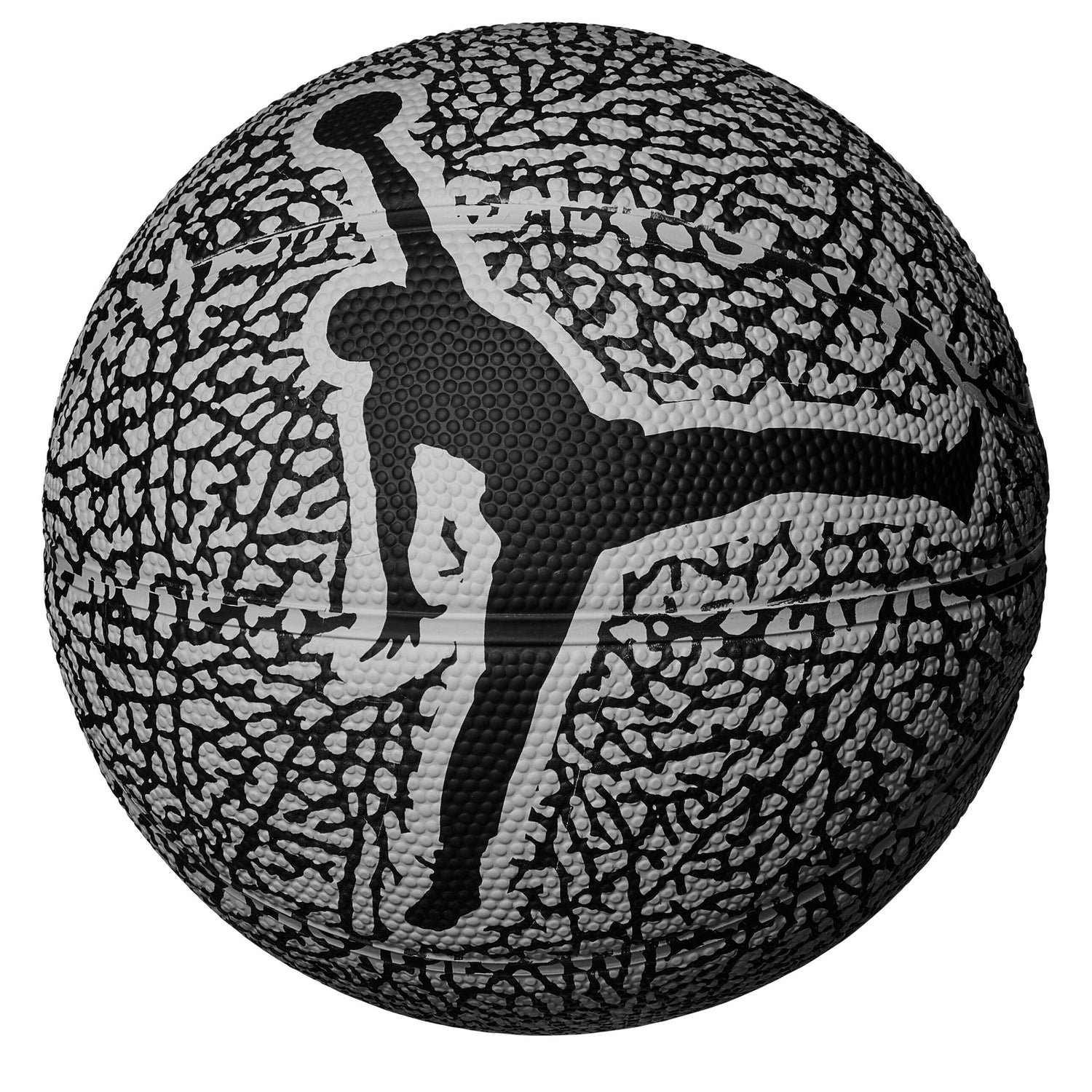 Skills 2.0 Graphic Basketball