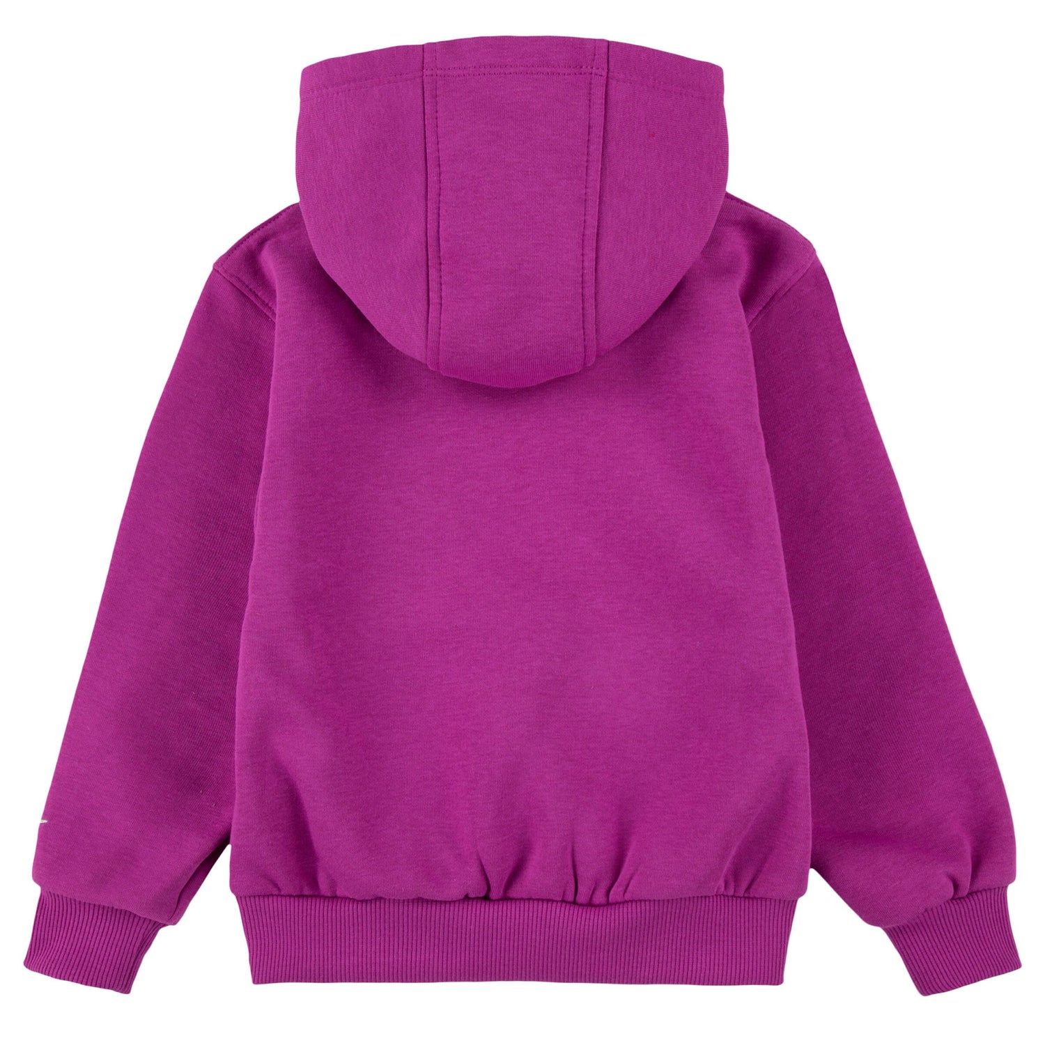Shine Pullover Hoodie (Toddler)