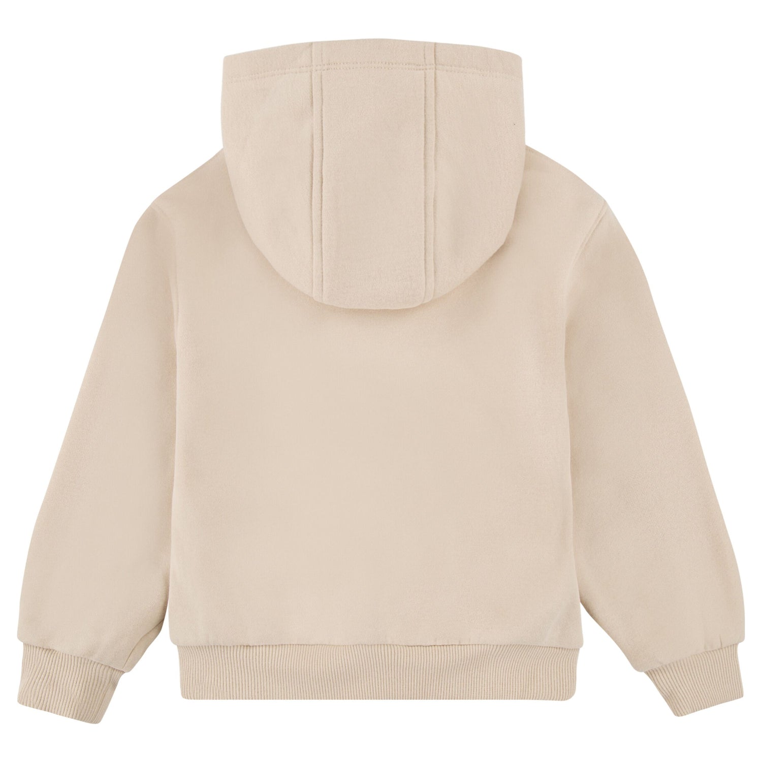 Nsw Club Fleece Pull Over Hoodie (Toddler)