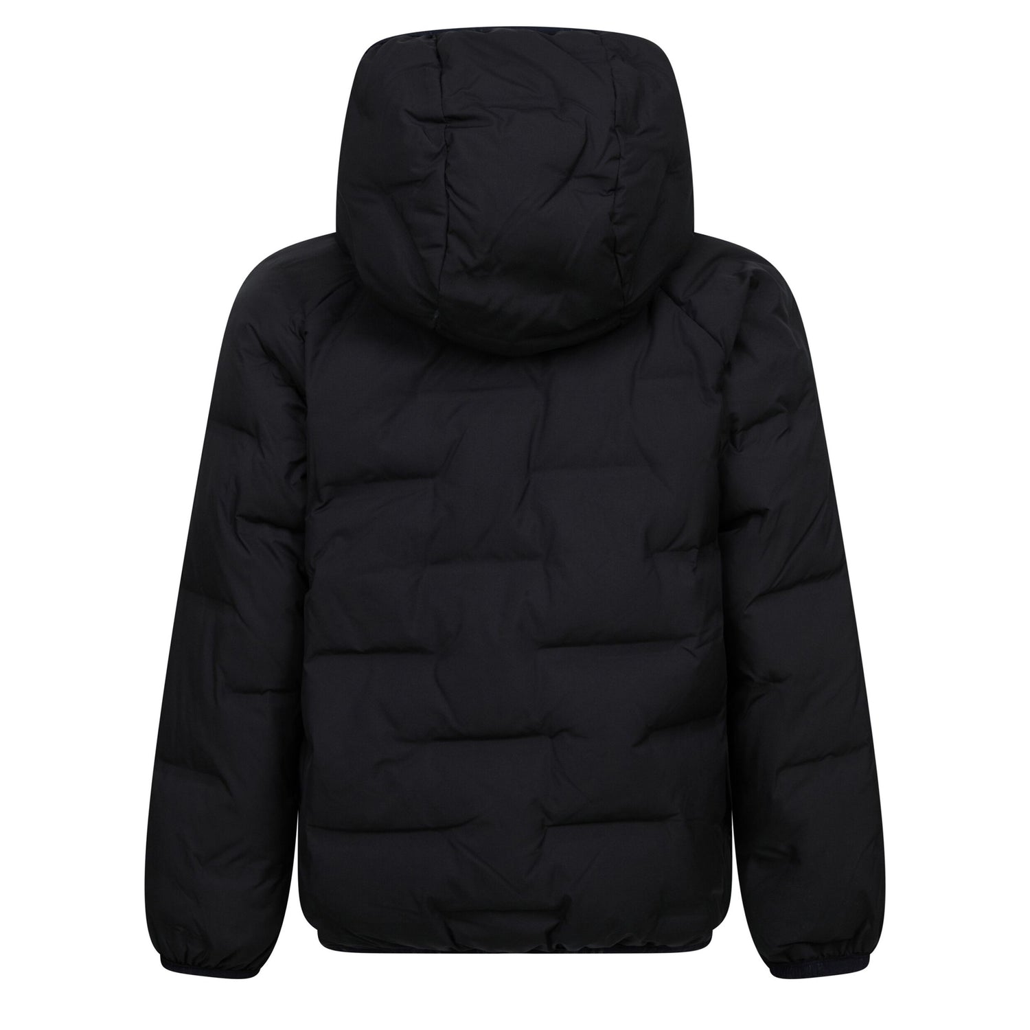 Puffer Jacket (Little Kid)