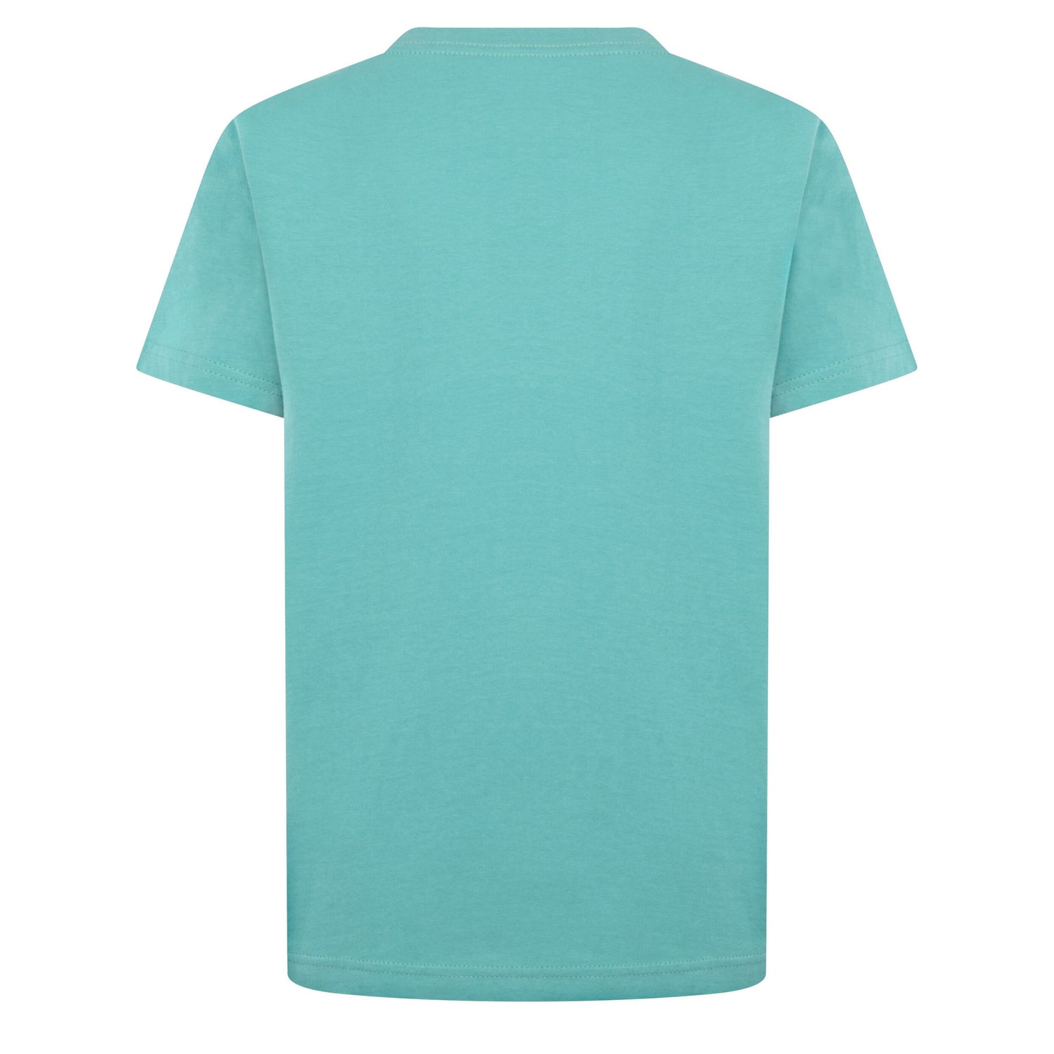 Jumpman Air Embroidered Tee (Big Kid)