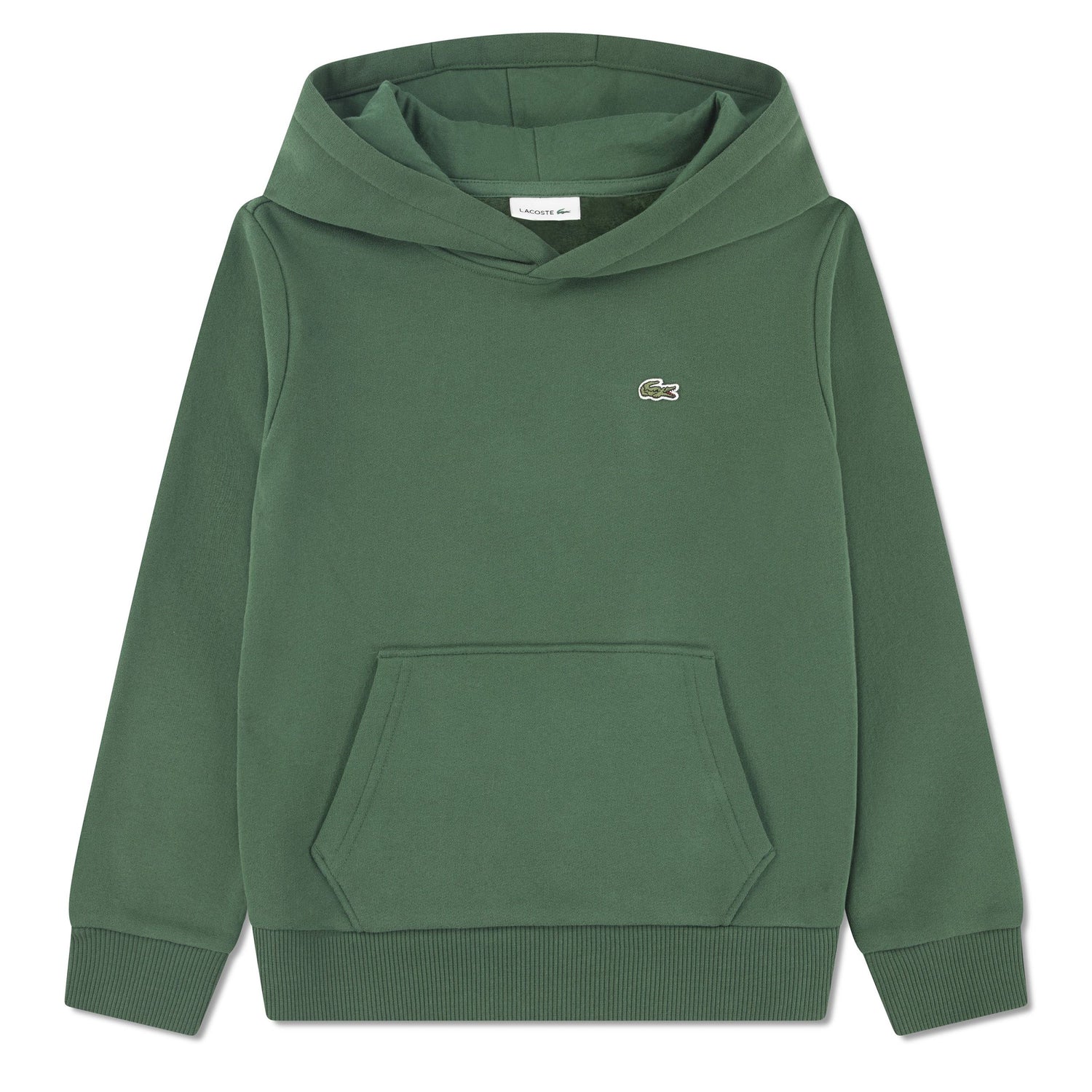 Fleece Pullover Hoodie (Little Kid)