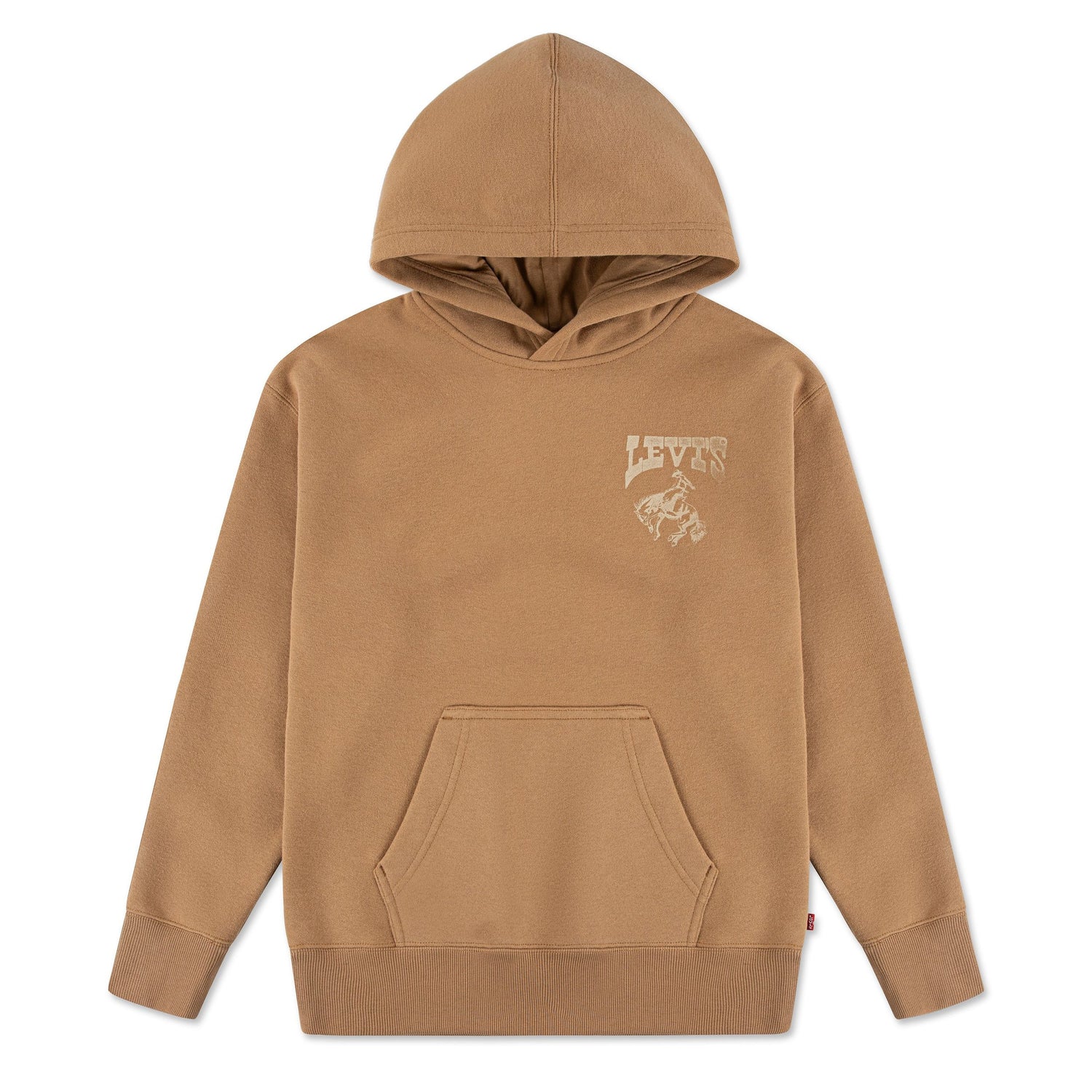 Rodeo Ready Hoodie (Big Kid)