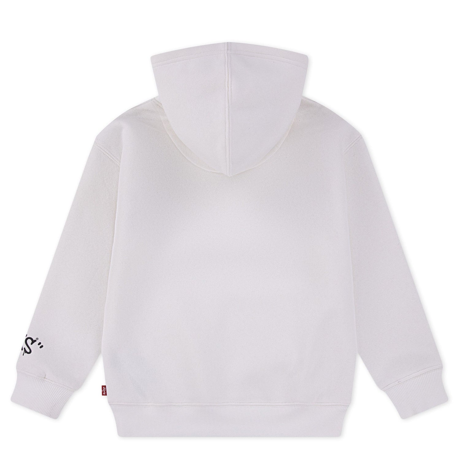 Street Style Hoodie (Little Kids)