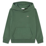 Fleece Pullover Hoodie (Big Kid)