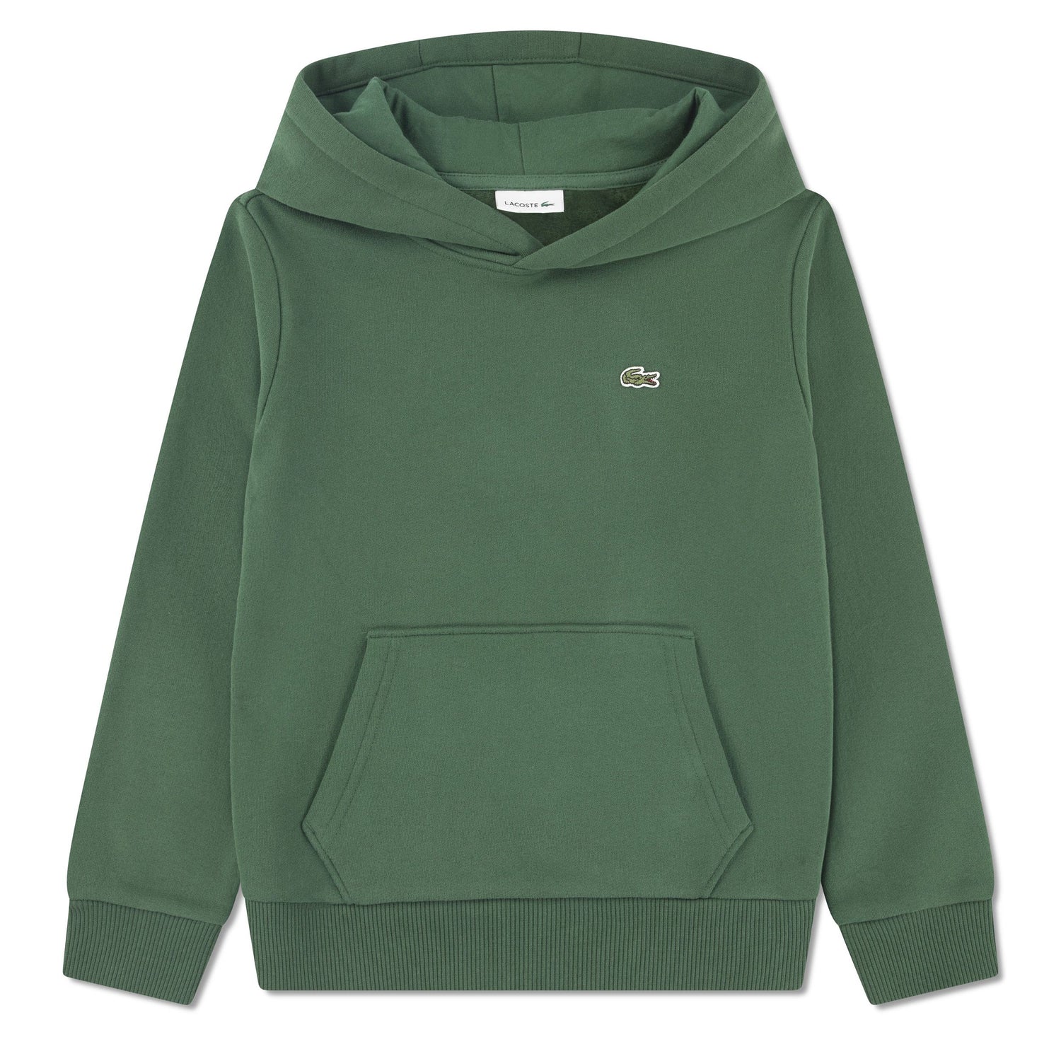 Fleece Pullover Hoodie (Big Kid)