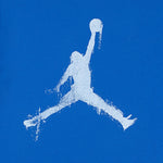 Mvp Jumpman Tee (Big Kid)