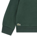 Chenille Patch Crew Sweatshirt (Big Kid)