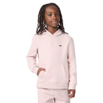 Fleece Pullover Hoodie (Big Kid)