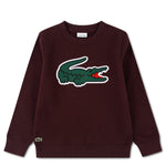 Applique Sweatshirt (Big Kid)