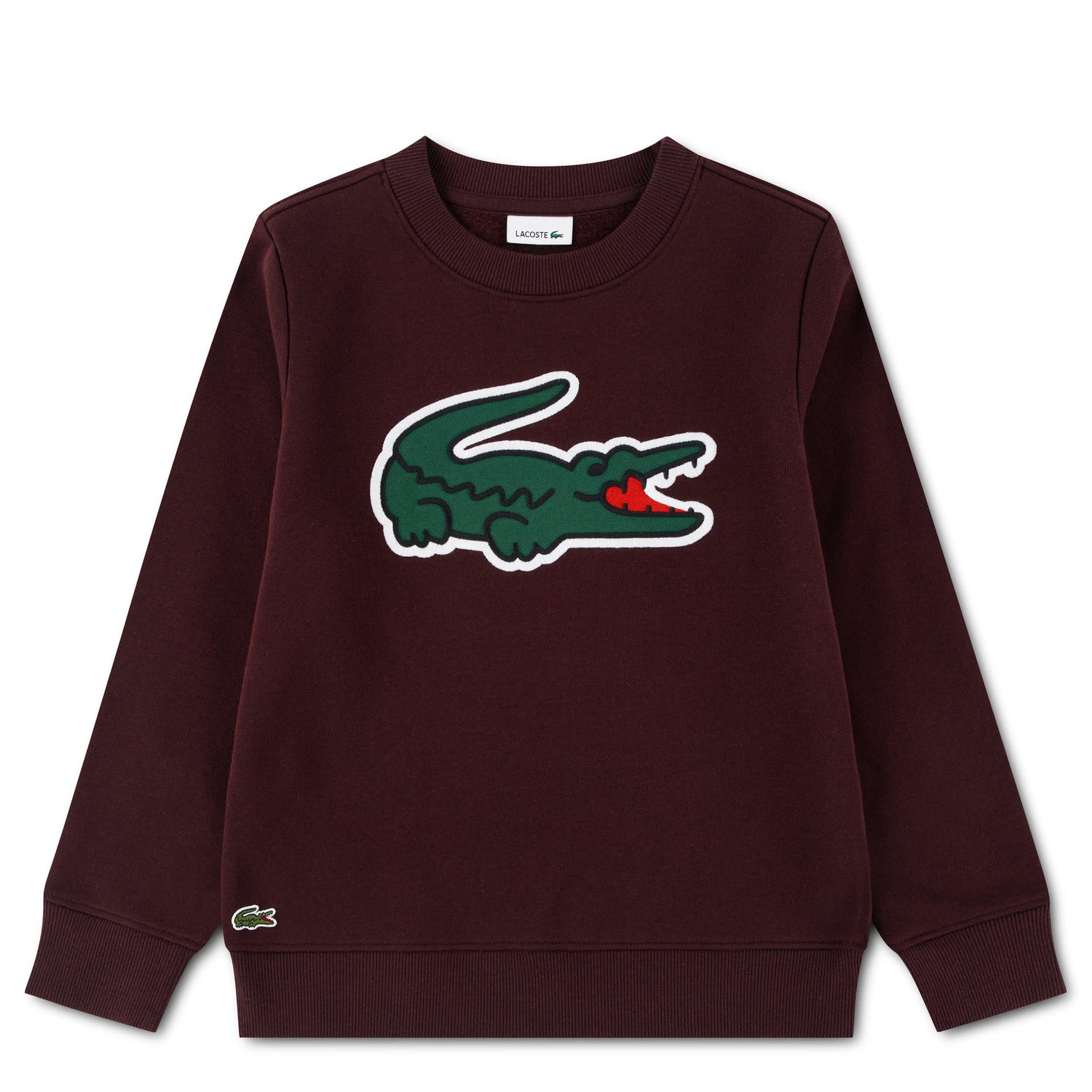 Applique Sweatshirt (Big Kid)