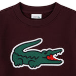 Applique Sweatshirt (Big Kid)