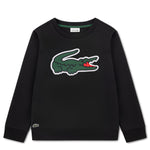Applique Sweatshirt (Big Kid)