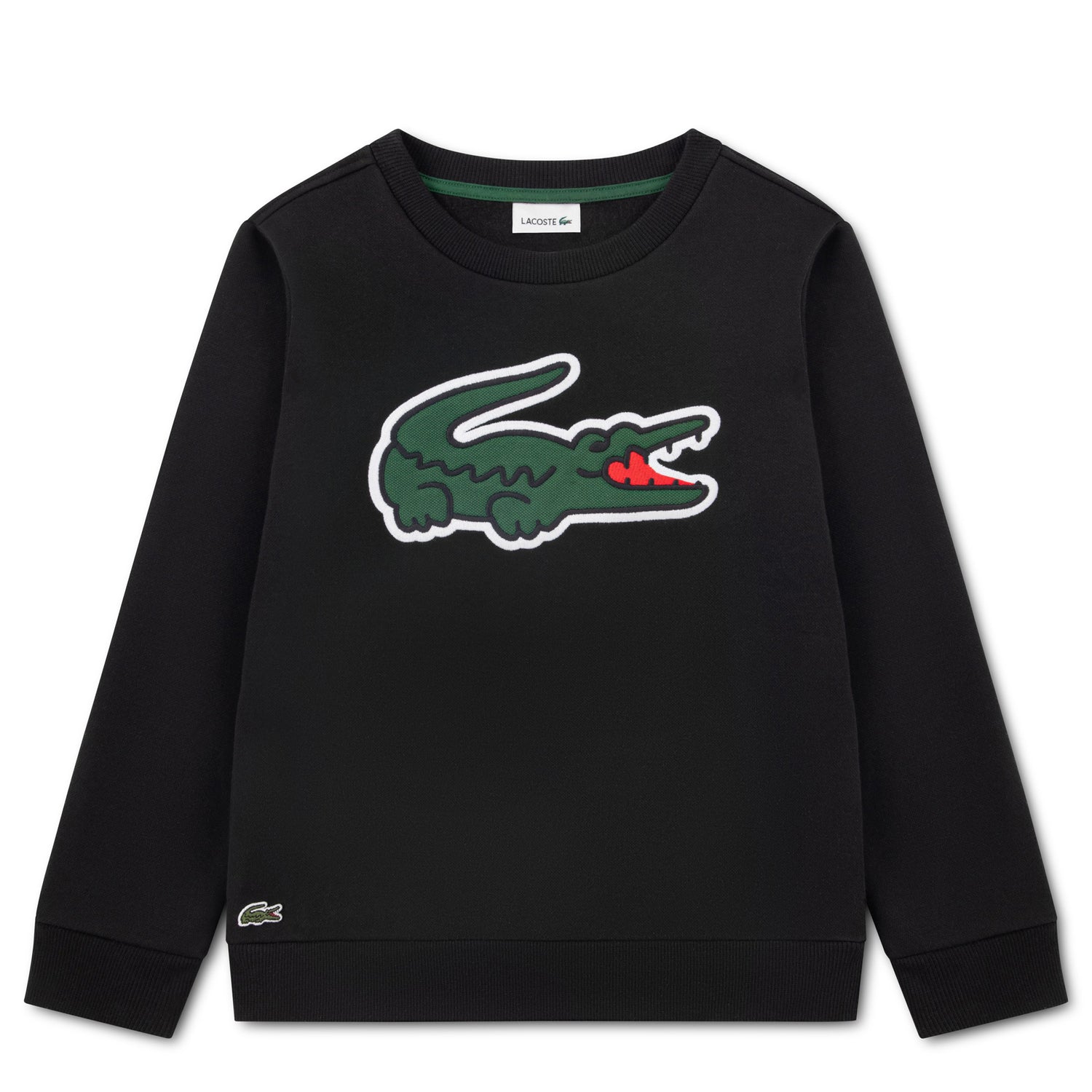 Applique Sweatshirt (Big Kid)