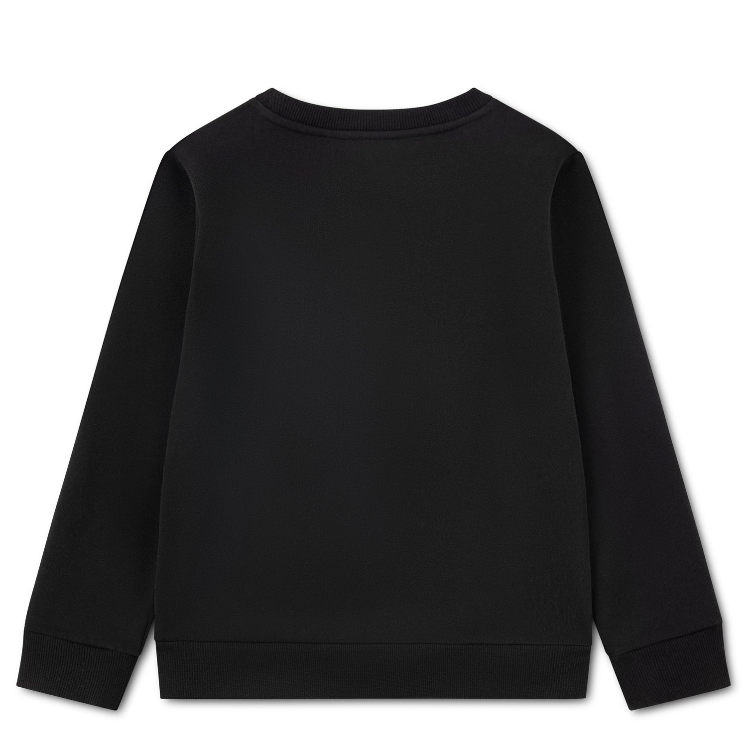 Applique Sweatshirt (Big Kid)