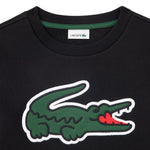 Applique Sweatshirt (Big Kid)