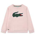 Applique Sweatshirt (Big Kid)